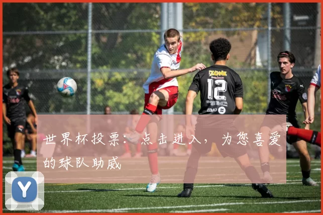 世界杯投票：点击进入，为您喜爱的球队助威