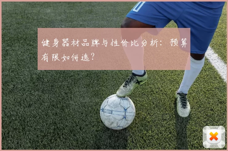 健身器材品牌与性价比分析：预算有限如何选？
