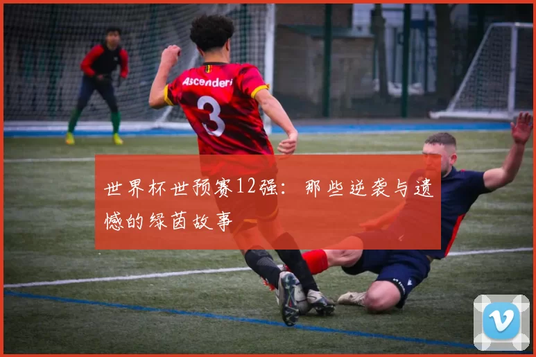 世界杯世预赛12强：那些逆袭与遗憾的绿茵故事