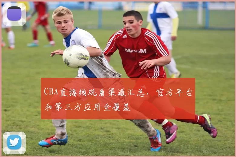 CBA直播线观看渠道汇总，官方平台和第三方应用全覆盖