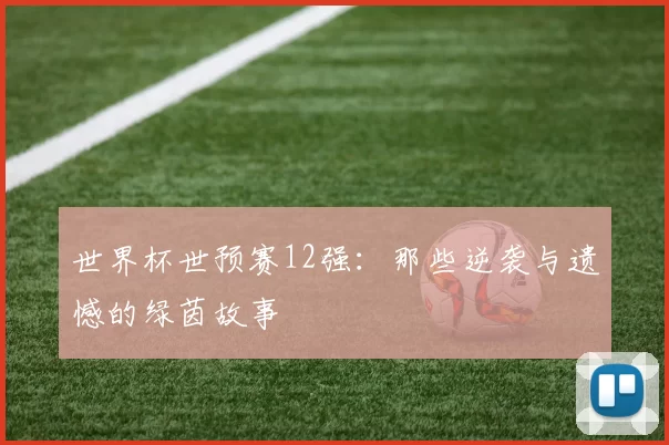 世界杯世预赛12强：那些逆袭与遗憾的绿茵故事