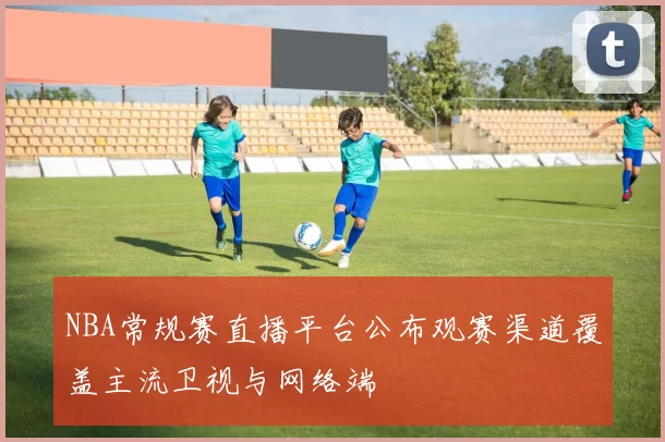 NBA常规赛直播平台公布观赛渠道覆盖主流卫视与网络端