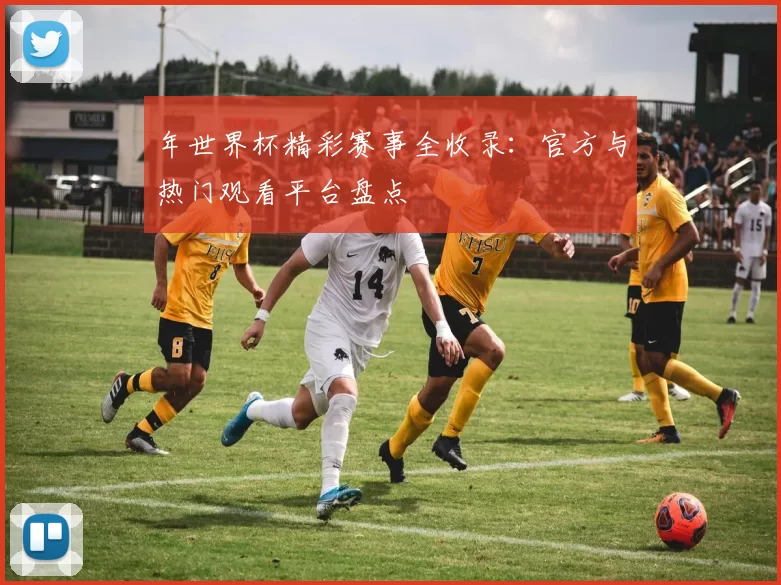 年世界杯精彩赛事全收录：官方与热门观看平台盘点