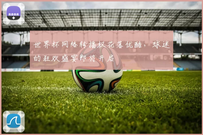 世界杯网络转播权花落优酷,球迷的狂欢盛宴即将开启