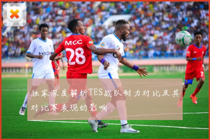 独家深度解析TES战队耐力对比及其对比赛表现的影响