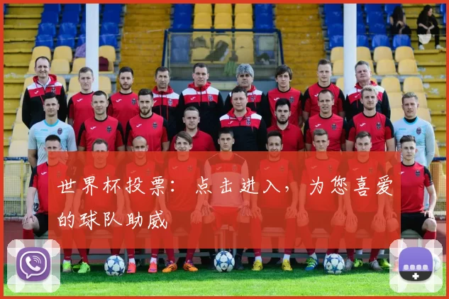 世界杯投票：点击进入，为您喜爱的球队助威