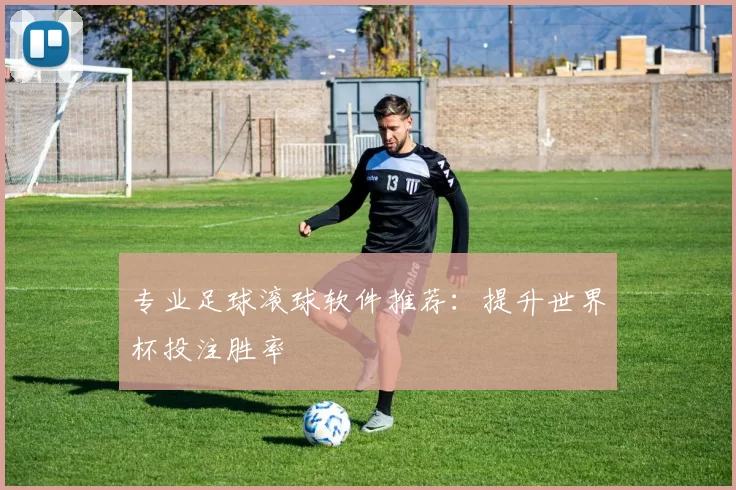 专业足球滚球软件推荐：提升世界杯投注胜率