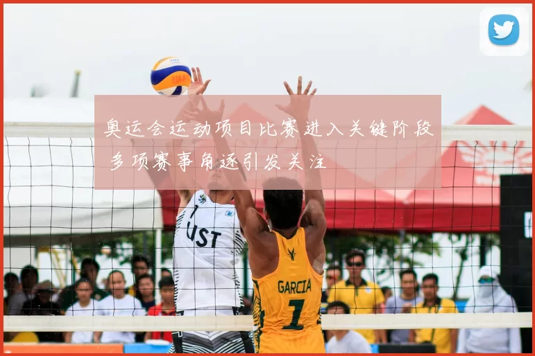 奥运会运动项目比赛进入关键阶段 多项赛事角逐引发关注