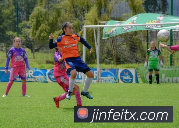 华体育会hth全站App